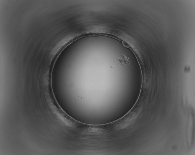 X0000093390437200710111518