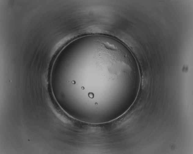 X0000093390438200710111518