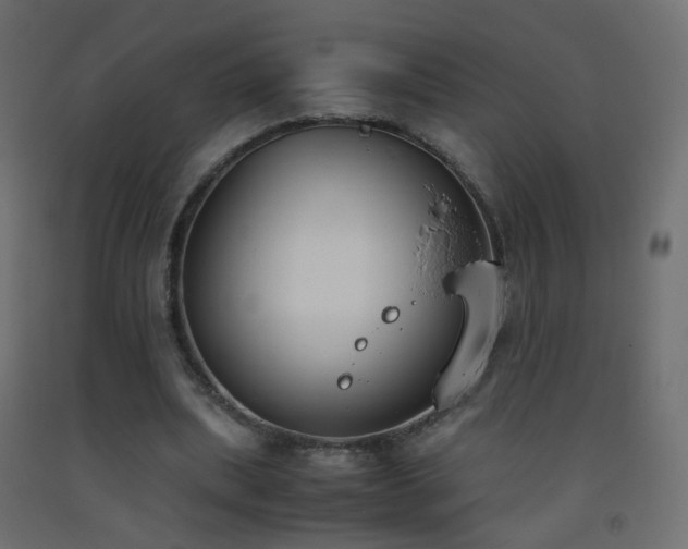 X0000093390439200710111518