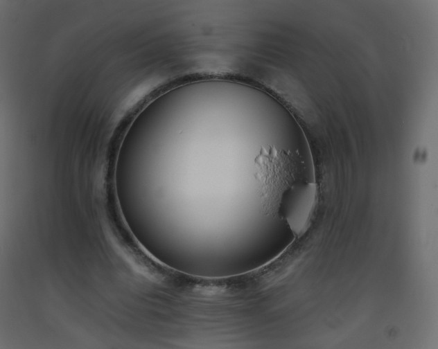 X0000093390440200710111518