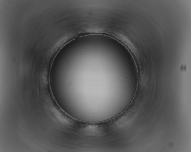 X0000093390441200710111518