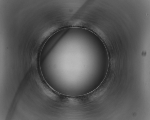 X0000093390442200710111518