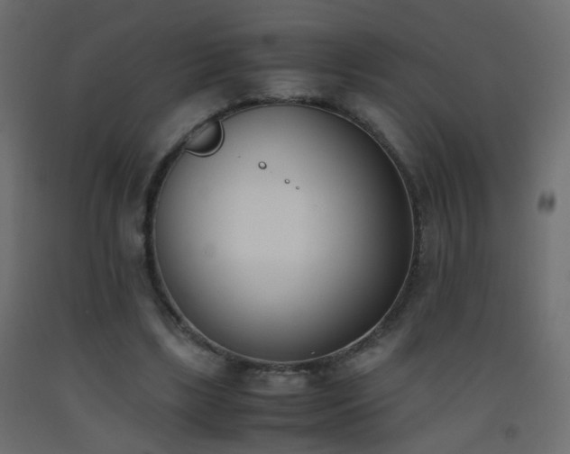 X0000093390443200710111518