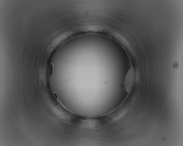 X0000093390444200710111518