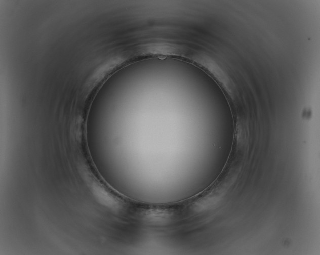 X0000093390445200710111518