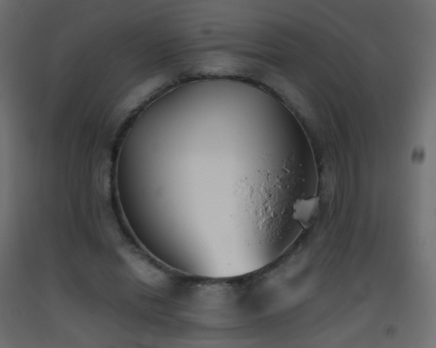 X0000093390446200710111518