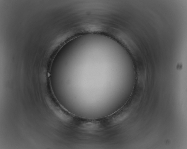 X0000093390447200710111518