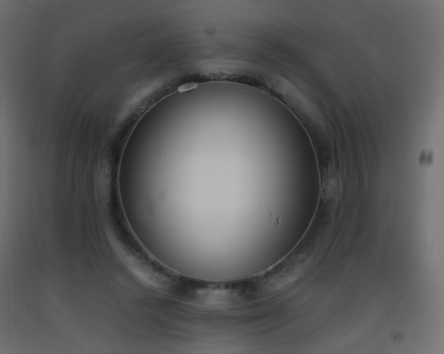 X0000093390448200710111518