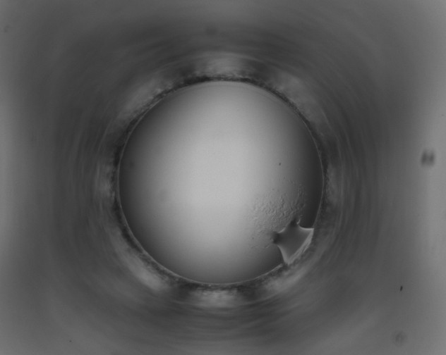 X0000093390449200710111518