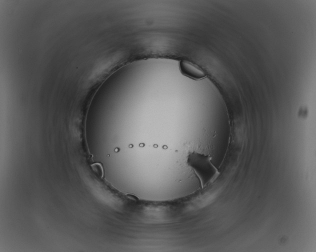 X0000093390450200710111518