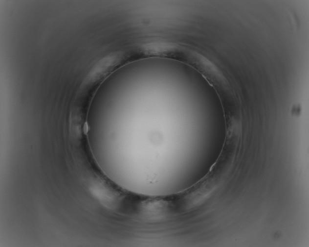 X0000093390452200710111518