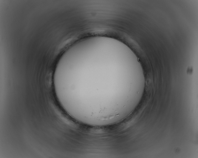 X0000093390454200710111518