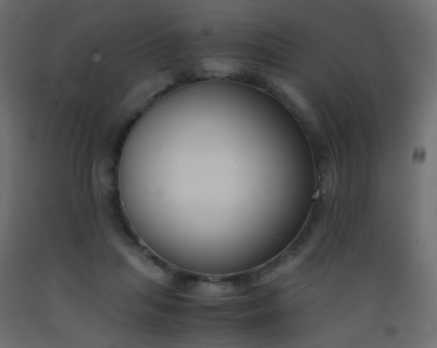 X0000093390455200710111518