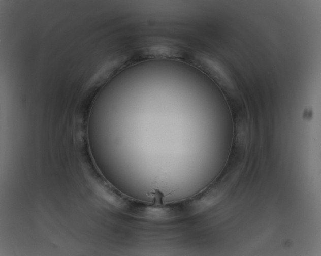 X0000093390457200710111518