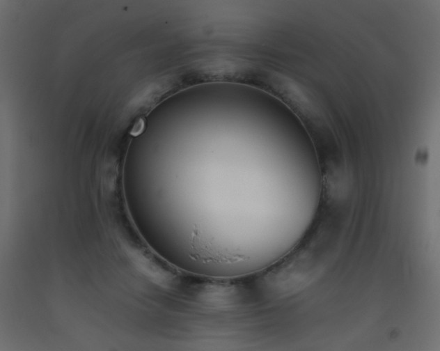 X0000093390458200710111518