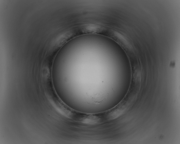 X0000093390459200710111518