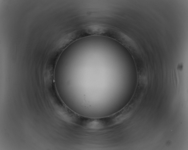 X0000093390460200710111518