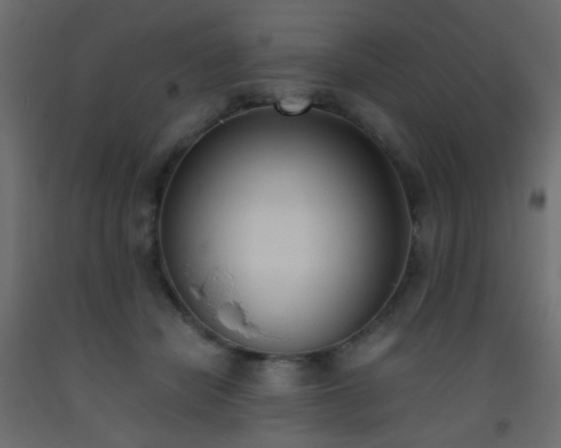 X0000093390462200710111518