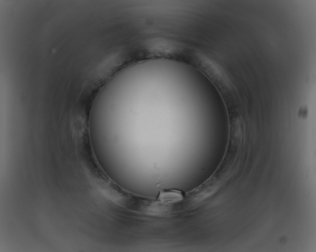 X0000093390463200710111518