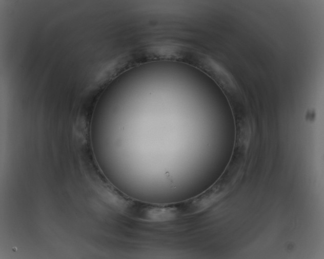 X0000093390465200710111518