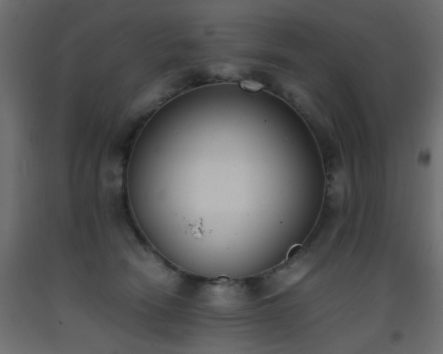 X0000093390466200710111518