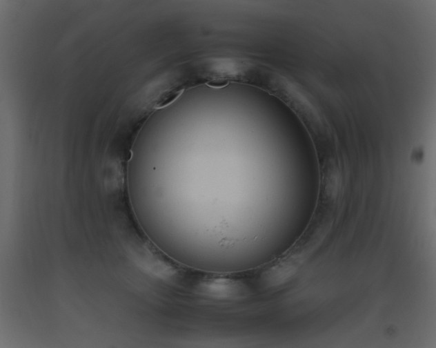 X0000093390467200710111518