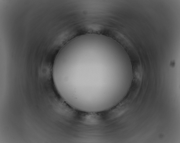 X0000093390468200710111518