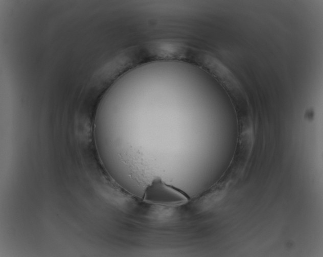 X0000093390469200710111518