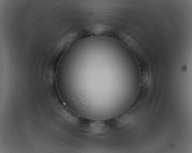 X0000093390470200710111518