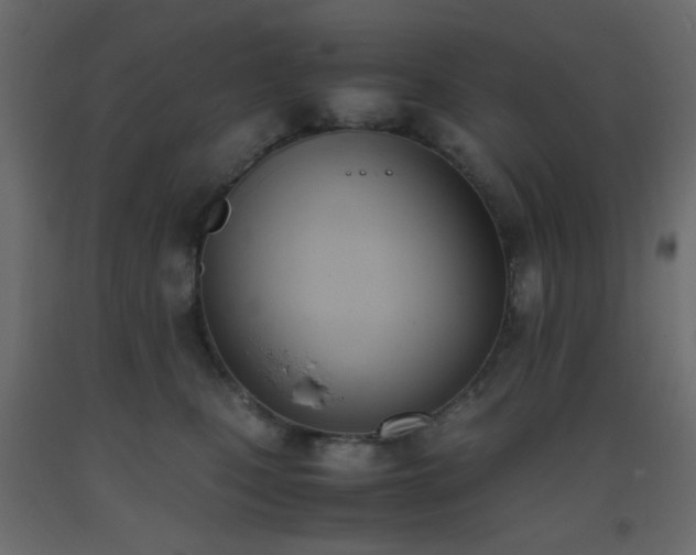 X0000093390471200710111518