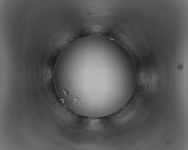 X0000093390472200710111518