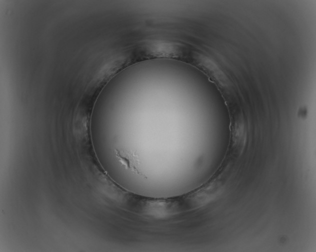 X0000093390473200710111518