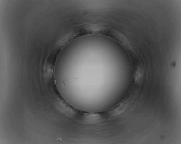 X0000093390476200710111518