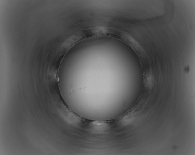 X0000093390477200710111518