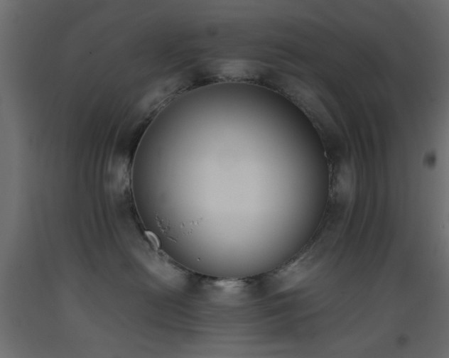 X0000093390478200710111518