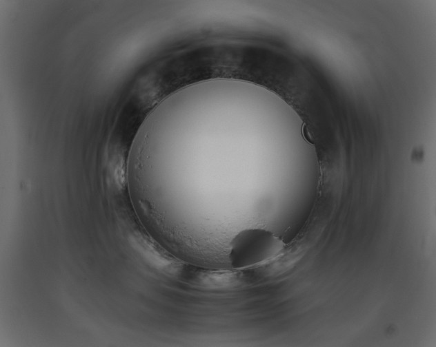 X0000093390479200710111518