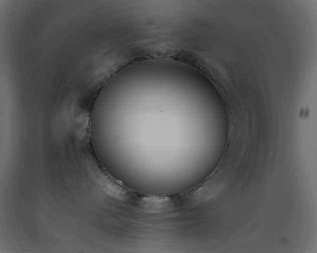 X0000093390480200710111518