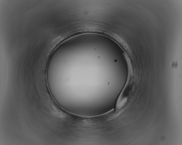 X0000093390481200710111518