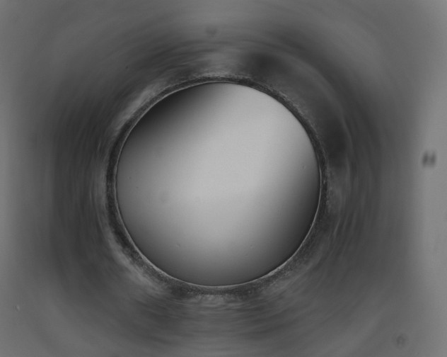 X0000093390482200710111518