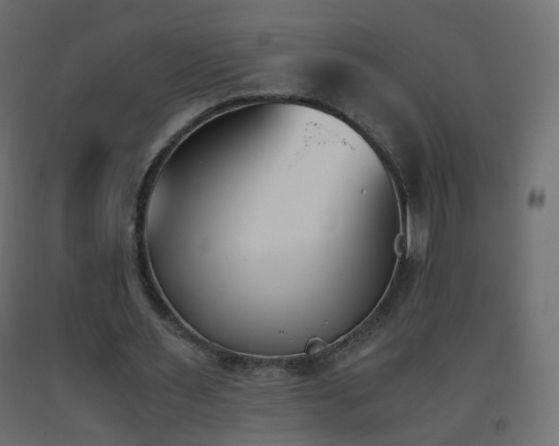 X0000093390483200710111518