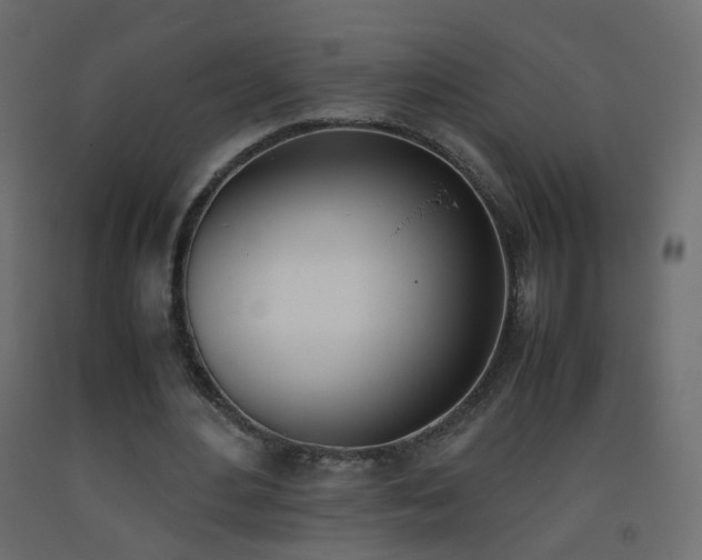 X0000093390484200710111518