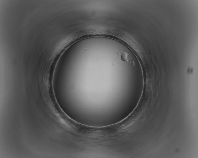 X0000093390485200710111518