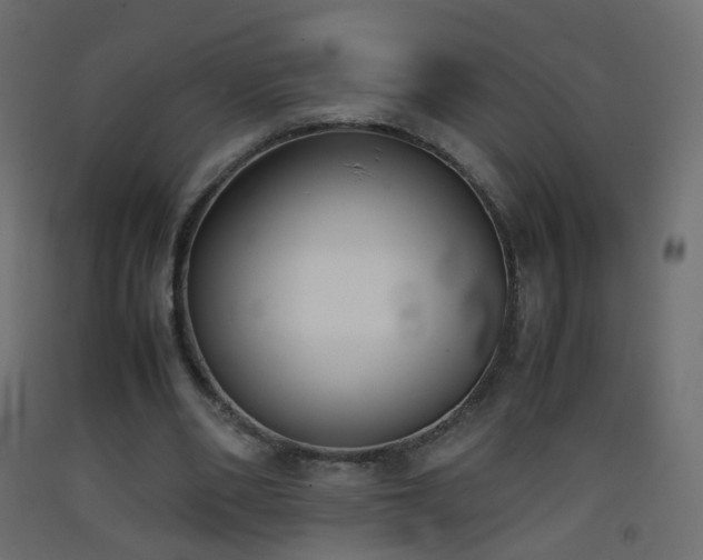 X0000093390486200710111518