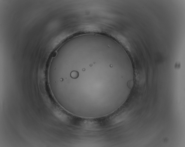 X0000093390487200710111518