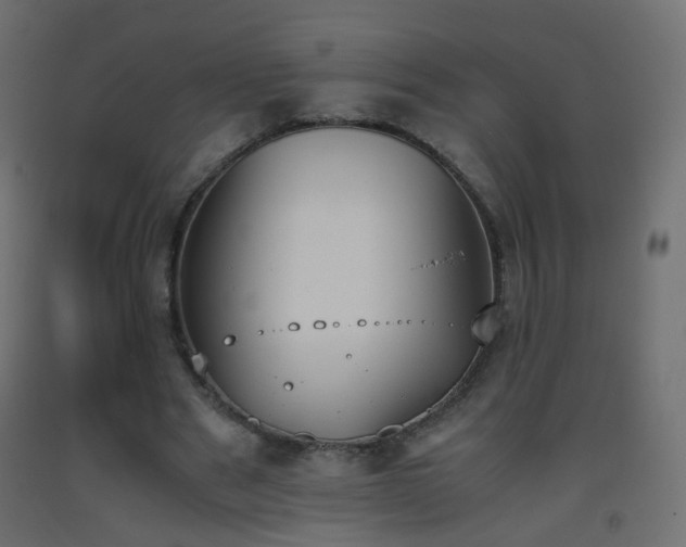 X0000093390489200710111518