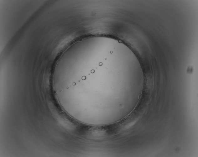 X0000093390491200710111518