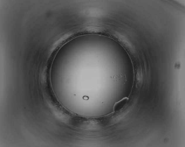 X0000093390492200710111518