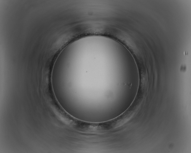 X0000093390493200710111518