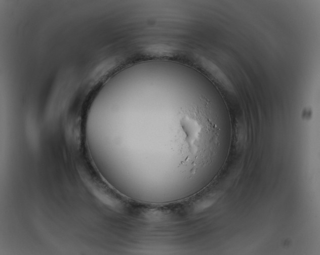 X0000093390494200710111518