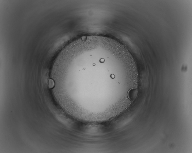 X0000093390495200710111518